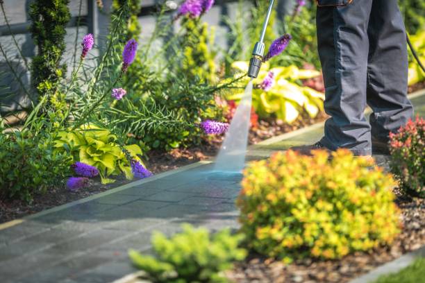 Best Fence Cleaning and Maintenance in Warrenton, VA