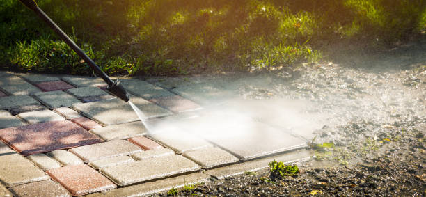 Best Driveway Cleaning and Restoration in Warrenton, VA